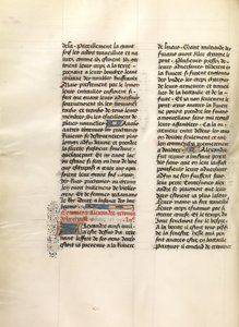 Text Page